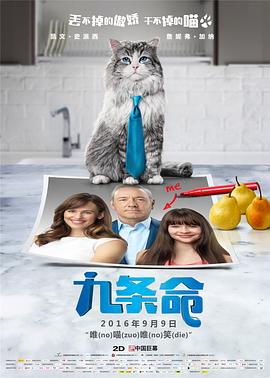 壮志凌云啄木鸟满天星法版