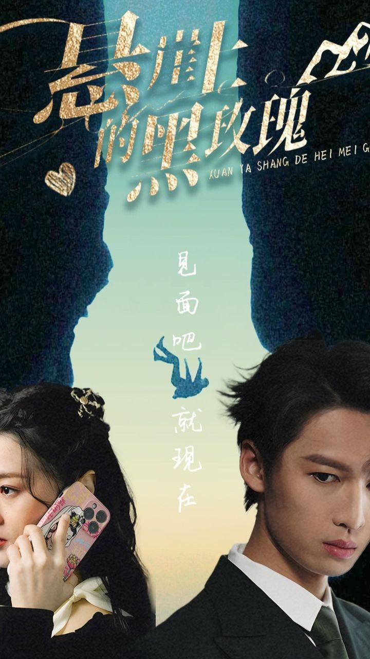 执行秘书满天星免费版
