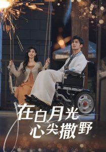 二十一世纪性格指南第一集